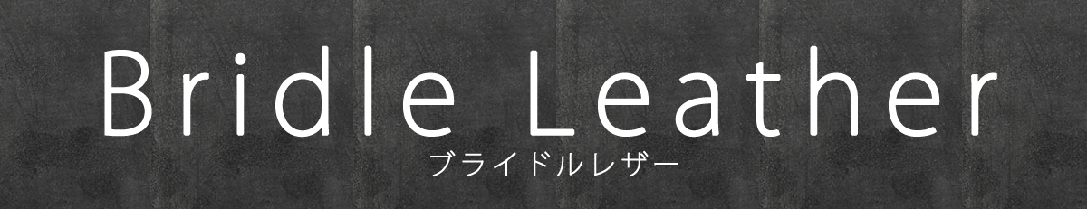 iPhone11Pro には本革【ブライドル】レザーケースがおすすめ！