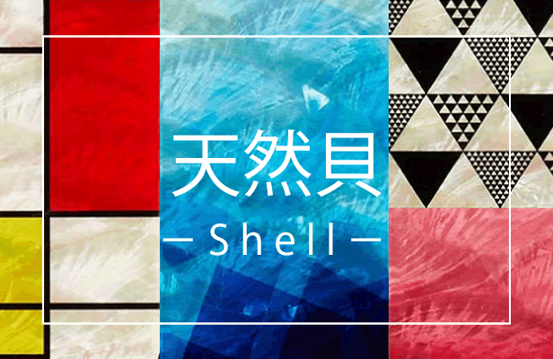 iPhone12 ProMax ケースの選び方 おすすめ 天然貝ケース