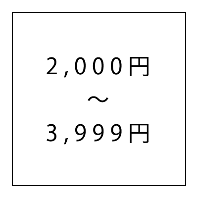 iPhone12 ProMax ケース の選び方 価格別 2000円 ～ 3999円