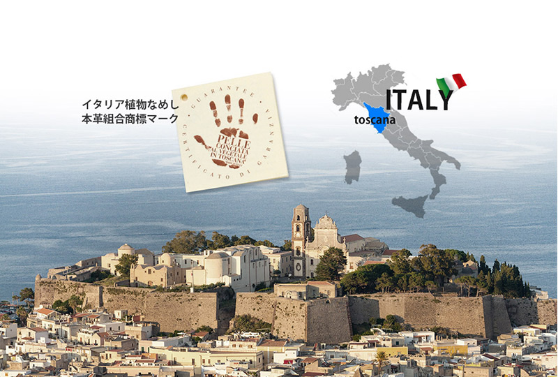 イタリアンレザー