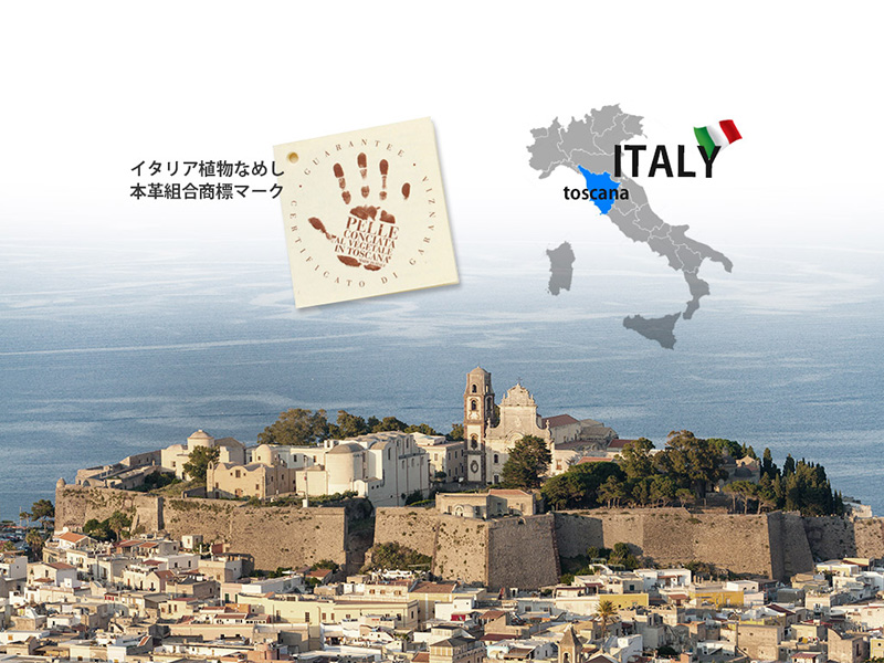 ABBI SIGNATUREのクロコダイル型押しレザーを使用した背面シェル型ケース