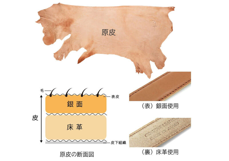 両面に本革を使用
