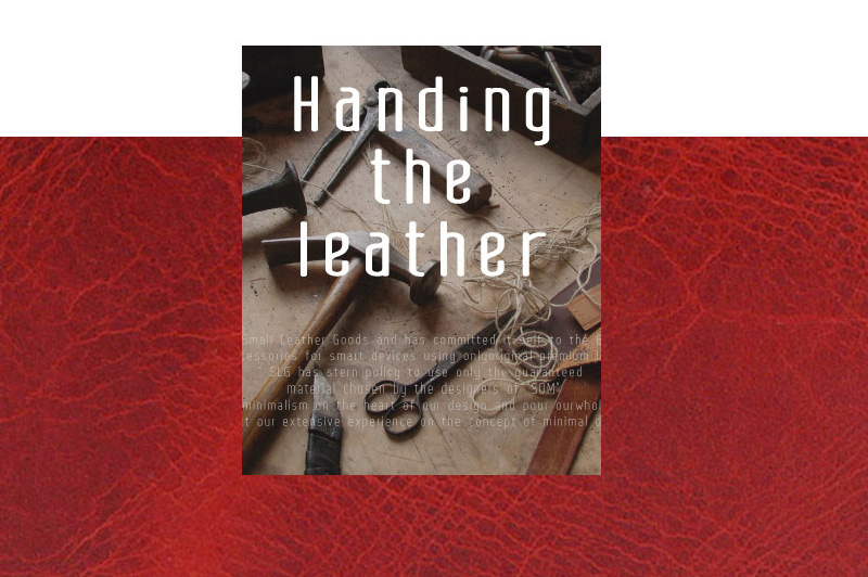 イタリアンバダラッシ ワックスレザー