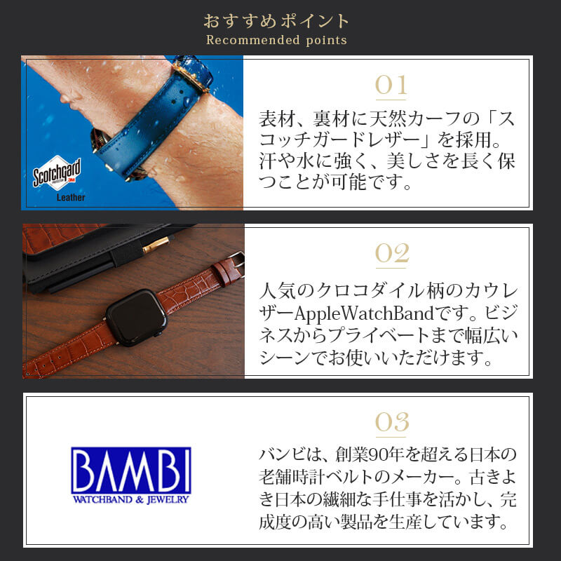 おすすめポイント