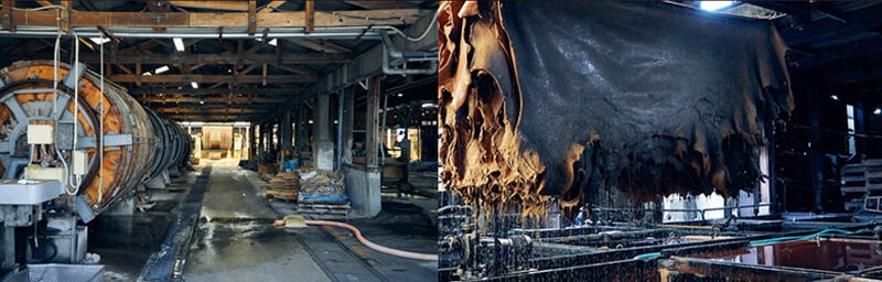 栃木レザーの”匠”が丹精込めて作る最高級の皮革