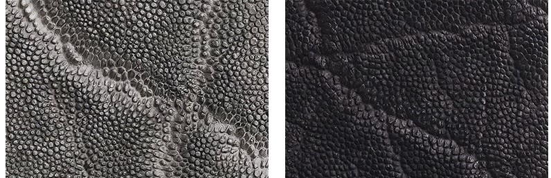 クロコダイルの中でも上質なナイルクロコの皮革