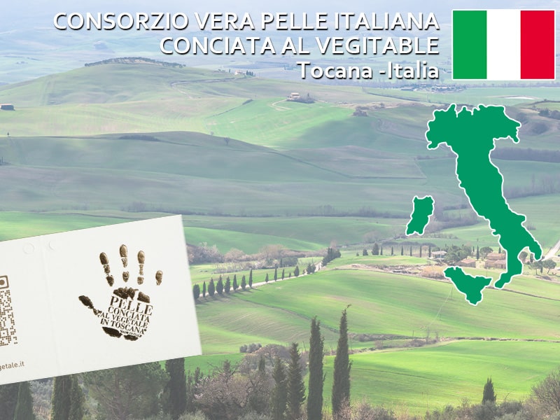 イタリア植物タンニンなめし革協会