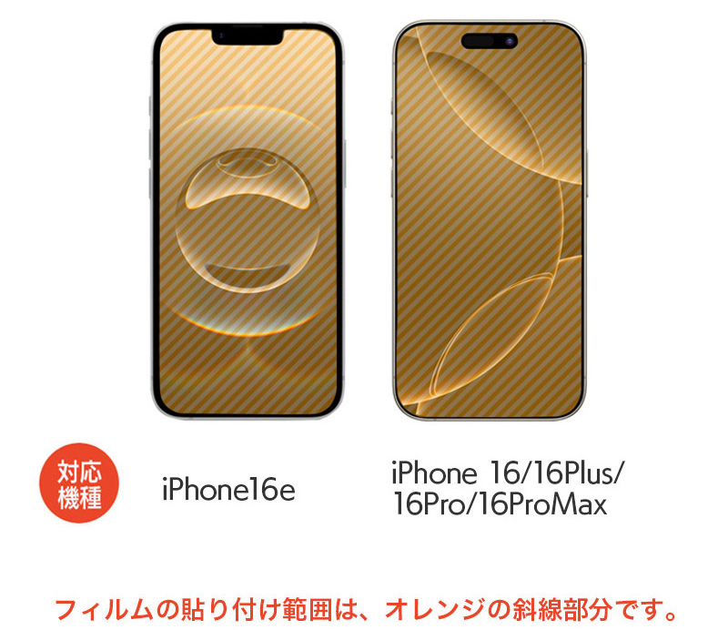 フィルム貼付範囲