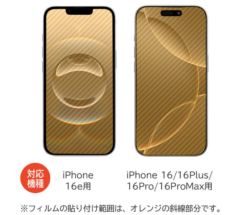 フィルム貼付範囲