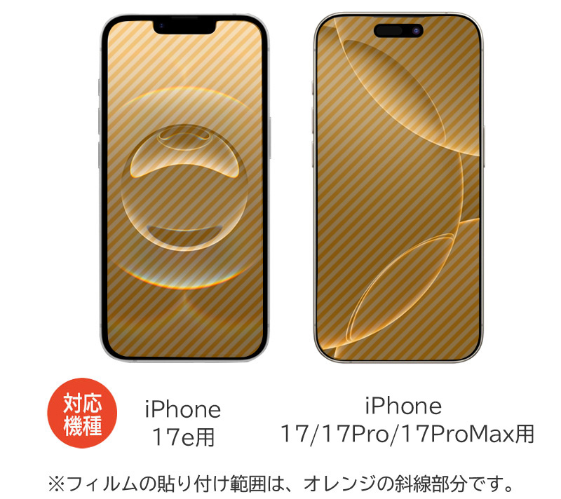 フィルム貼付範囲