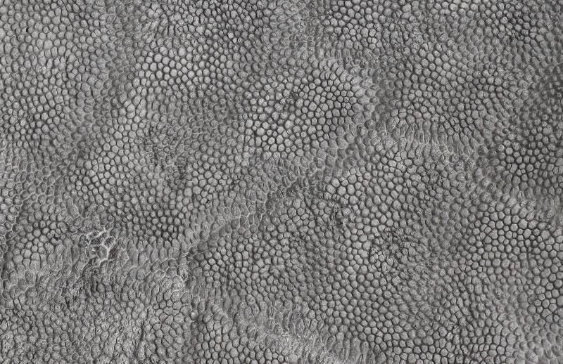 摩擦に強く耐久性に優れた象革