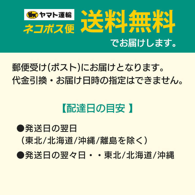 iPhone16e 16 16Plus 16Pro 16ProMax WINGLIDE のぞき見防止 プライバシー 360度 フィルム 液晶保護 ブルーライトカット